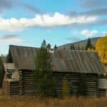 An old log cabin sits in the middle of a field.