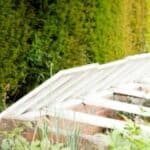 A garden with a greenhouse in the middle of it.