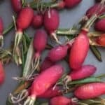 Ripe radishes on a baking sheet.