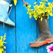 Two rain boots repurposed as planters with green plants, mounted on a blue wooden fence, accompanied by scattered pink and purple flowers.