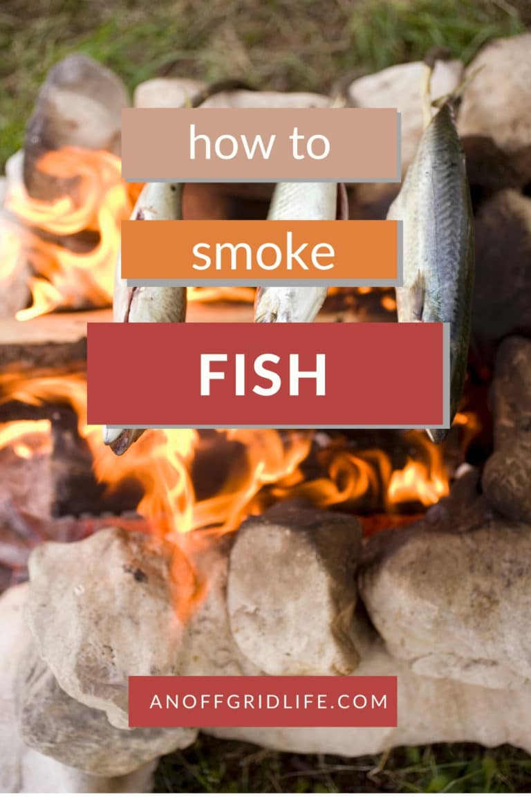 How To Smoke Fish | An Off Grid Life