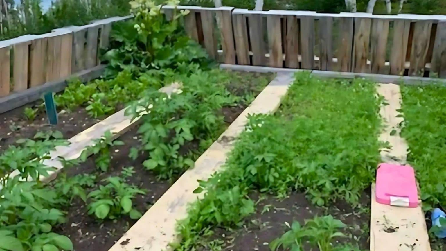 How to Plan a Garden For 2026 - An Off Grid Life