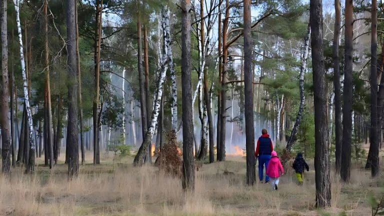 Two people walk through a forest with dry grass, while a small fire burns in the background.