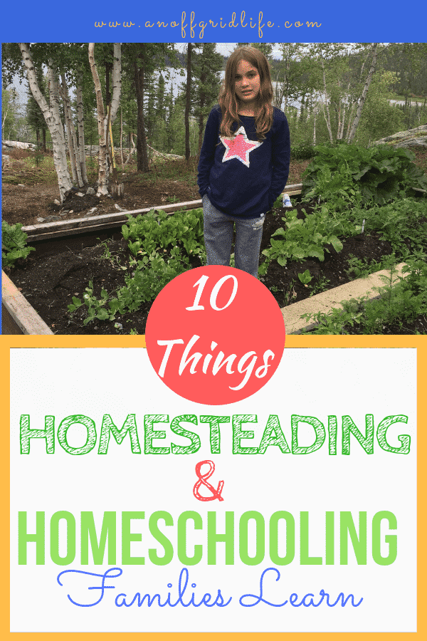 10 Things Homesteading and Homeschooling Parents Know text overlay on image of young girl standing in a raised vegetable garden in the wilderness