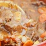 Beef stew in a red pot with carrots and potatoes.