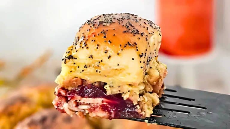 A close-up of a slice of baked cheese and cranberry dessert topped with poppy seeds on a spatula.