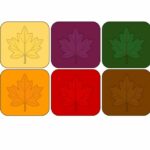 A set of six maple leaf coasters in different colors.