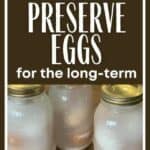 How to preserve eggs for the long term.