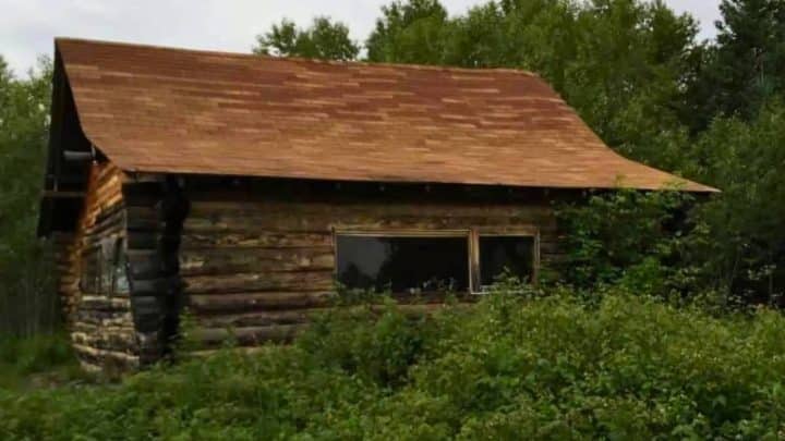 A weathered log cabin with a slanted shingle roof is surrounded by dense green foliage and trees.