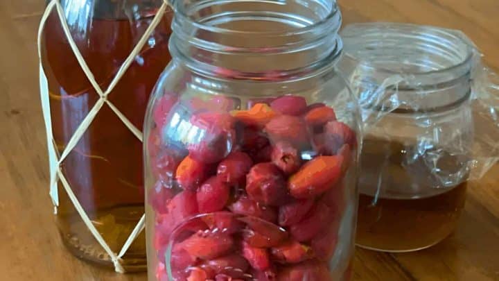 Three jars on a table: one with liquid and twine, another with red berries, and a third with a brown liquid sealed with plastic wrap.