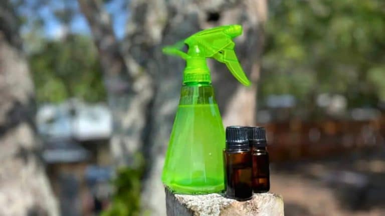 A green spray bottle and two small brown bottles on a tree stump outdoors.