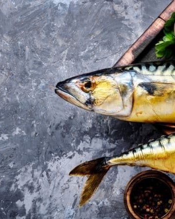 a picture of two smoked fish on a platter with a grey background