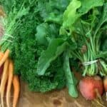 Fresh Garden carrots, lettuce, parsley and beets on a wooden table