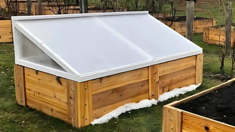 A wooden cold frame with a transparent plastic roof is positioned on a lawn, surrounded by garden beds.