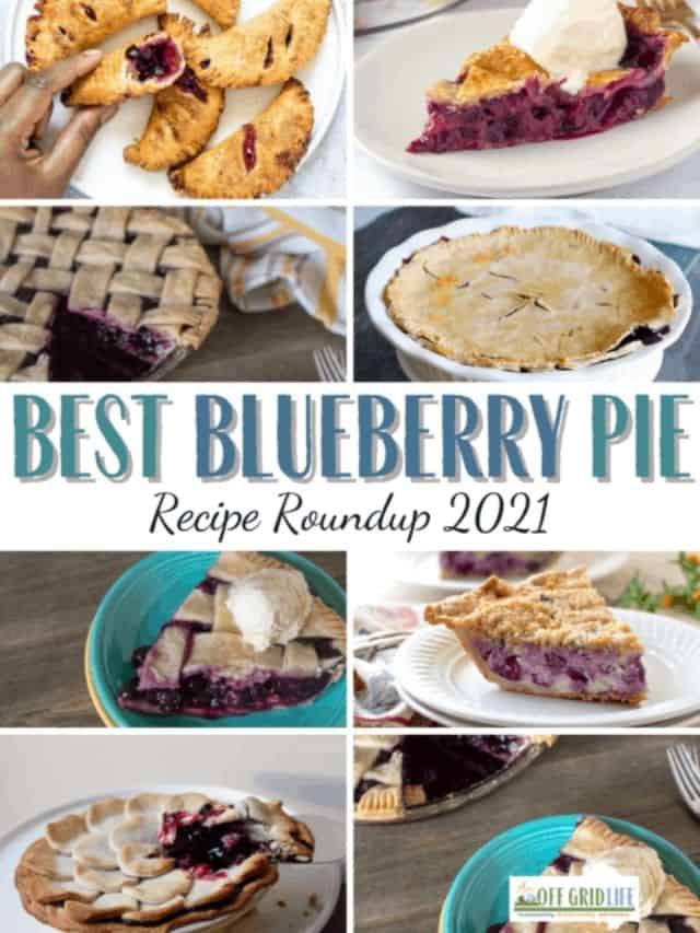 Best blueberry pie recipe roundup 2021.