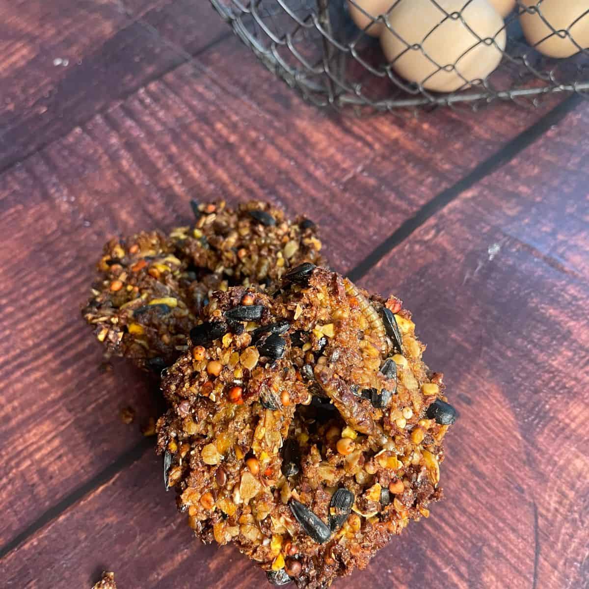 DIY Flock Block for Chickens An Off Grid Life