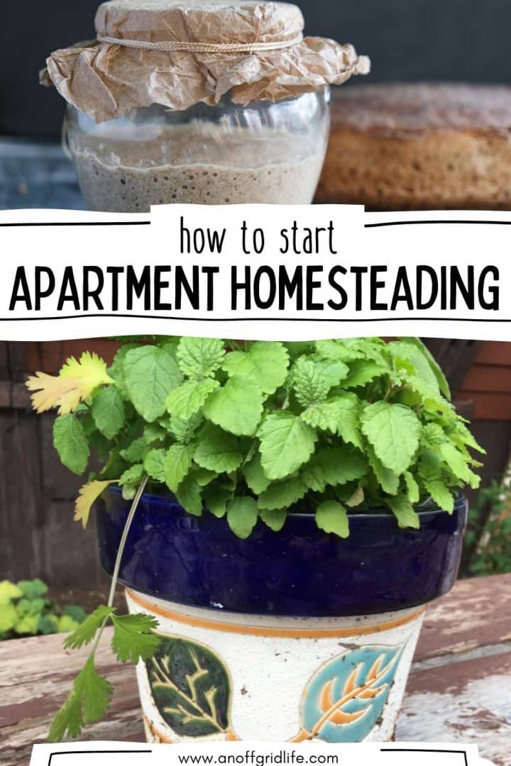 How to start apartment homesteading.