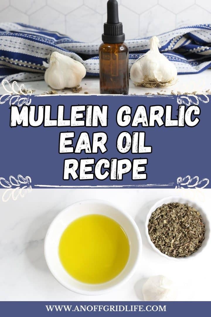 A bottle with dropper, garlic bulbs, dried herbs, and a bowl of oil are displayed above text that reads "Mullein Garlic Ear Oil Recipe.