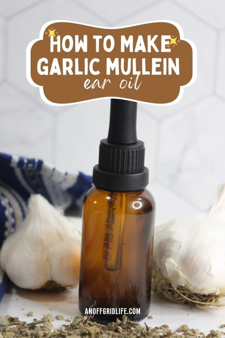 A brown glass dropper bottle labeled "How to Make Garlic Mullein Ear Oil" is placed between garlic bulbs and dried herbs on a white surface.