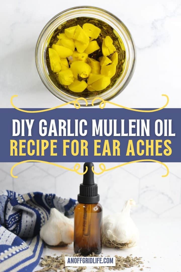 A jar of garlic mullein oil at the top, with a dropper bottle, garlic bulbs, and a striped cloth below; text reads “DIY Garlic Mullein Oil Recipe for Ear Aches.”.
