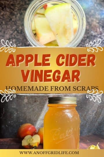 How to Make Homemade Apple Cider Vinegar From Apple Scraps - An Off ...