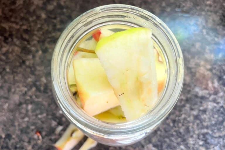 How to Make Homemade Apple Cider Vinegar From Apple Scraps - An Off ...