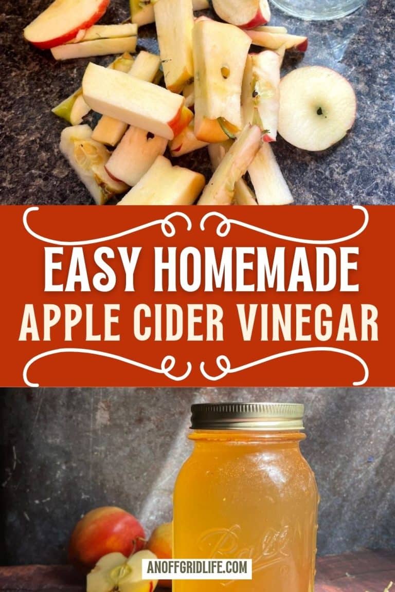 How to Make Homemade Apple Cider Vinegar From Apple Scraps - An Off ...