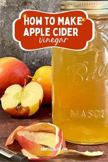 How to Make Homemade Apple Cider Vinegar From Apple Scraps - An Off ...