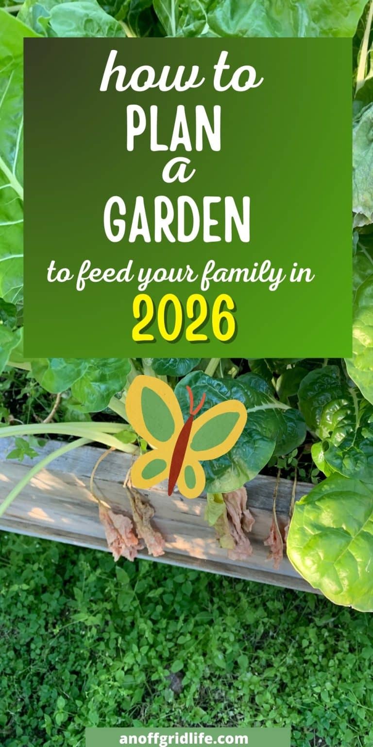 How to Plan a Garden For 2026 - An Off Grid Life