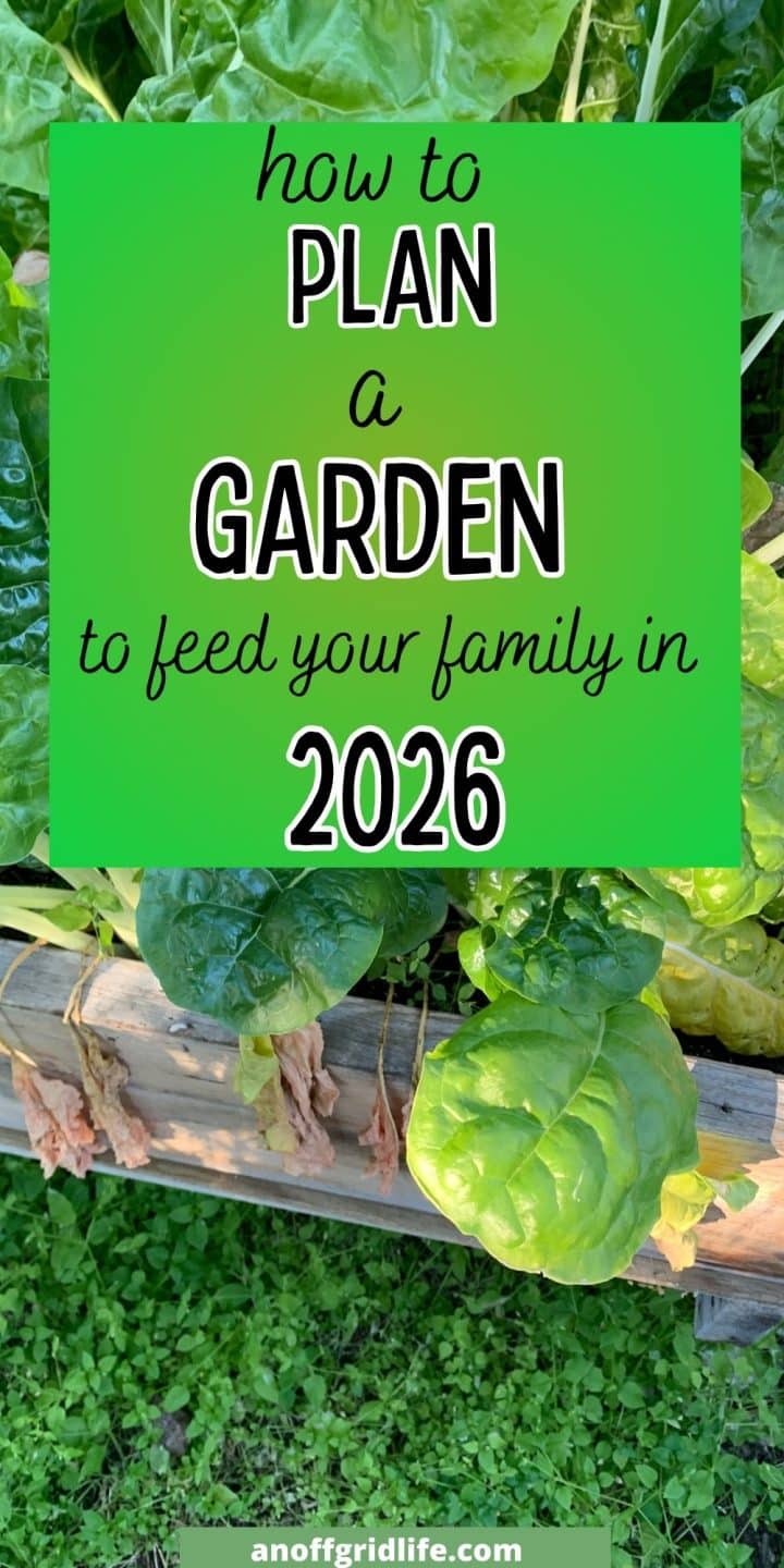 Raised garden bed with leafy green vegetables and a green text overlay that reads, "How to plan a garden in 2026 to feed your family.