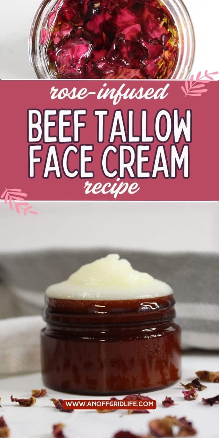 A jar of rose-infused beef tallow face cream with dried rose petals, shown open with cream inside and decorative text highlighting the product.