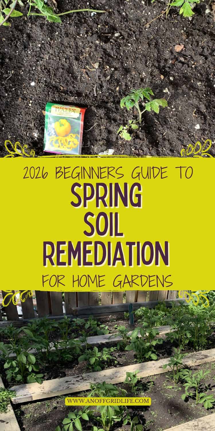 A seed packet and new plantings in soil, with text: “2026 Beginners Guide to Spring Soil Remediation for Home Gardens.” Raised garden beds with young plants below.