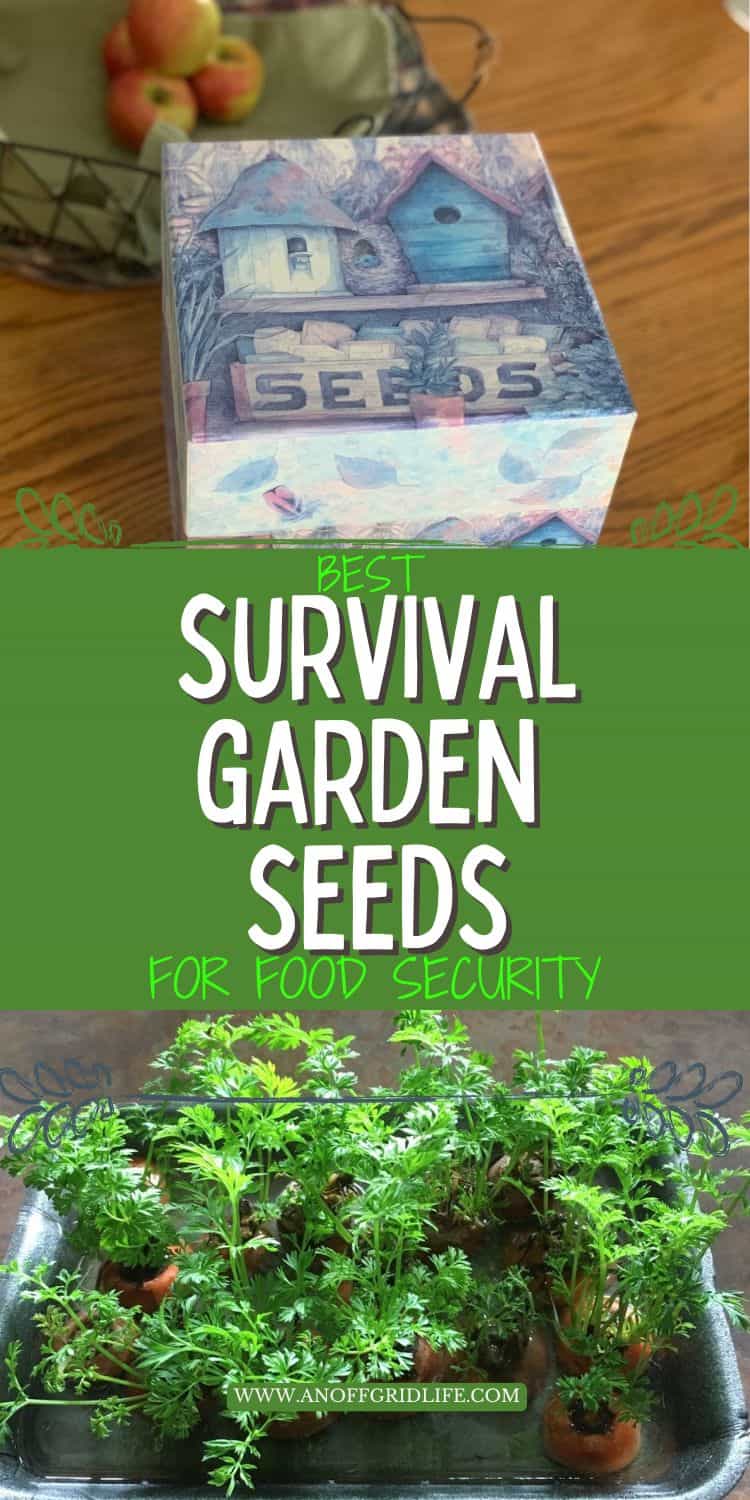 A box labeled "Seeds" on a table, text reads "Best Survival Garden Seeds for Food Security," with an image of young carrot plants growing in a tray at the bottom.
