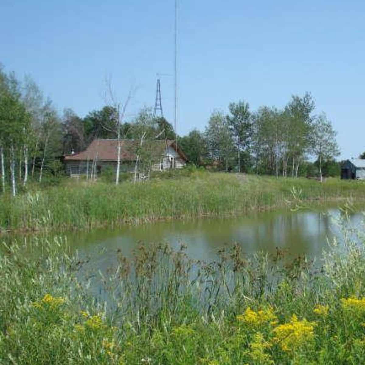 A small house with a radio tower stands near a pond surrounded by grass, wildflowers, and trees under a clear blue sky.