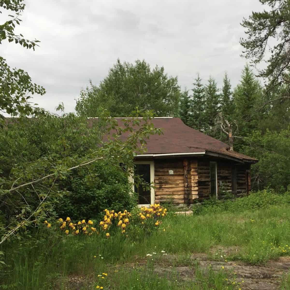 A small, rustic log cabin with a brown roof sits among trees and overgrown grass, with yellow flowers in the foreground under a cloudy sky. No cabin building permits for this 40+ year-old cabin.
