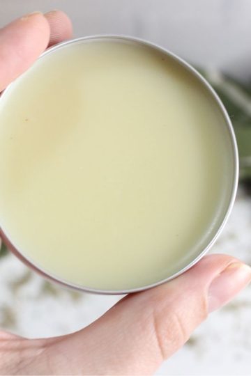 A hand holds a round tin filled with pale yellow chickweed salve, with a blurred green cloth in the background.
