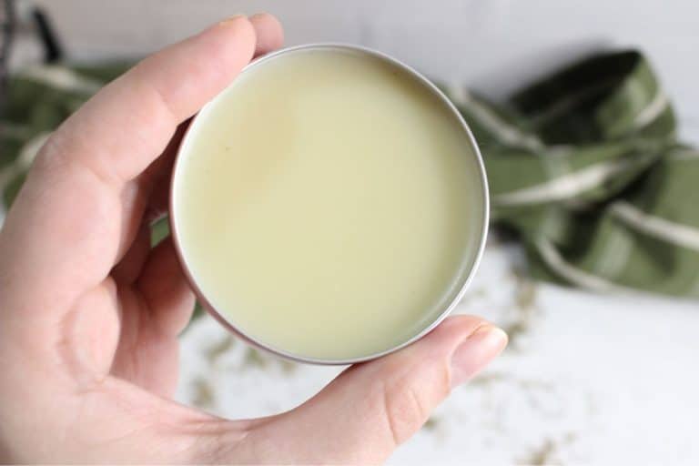 A hand holds a round tin filled with pale yellow chickweed salve, with a blurred green cloth in the background.