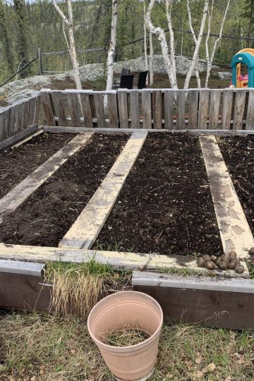 A raised garden bed with three soil plots separated by wooden planks, surrounded by a wooden fence; plastic play structures are in the background. Compacted garden soil after winter.