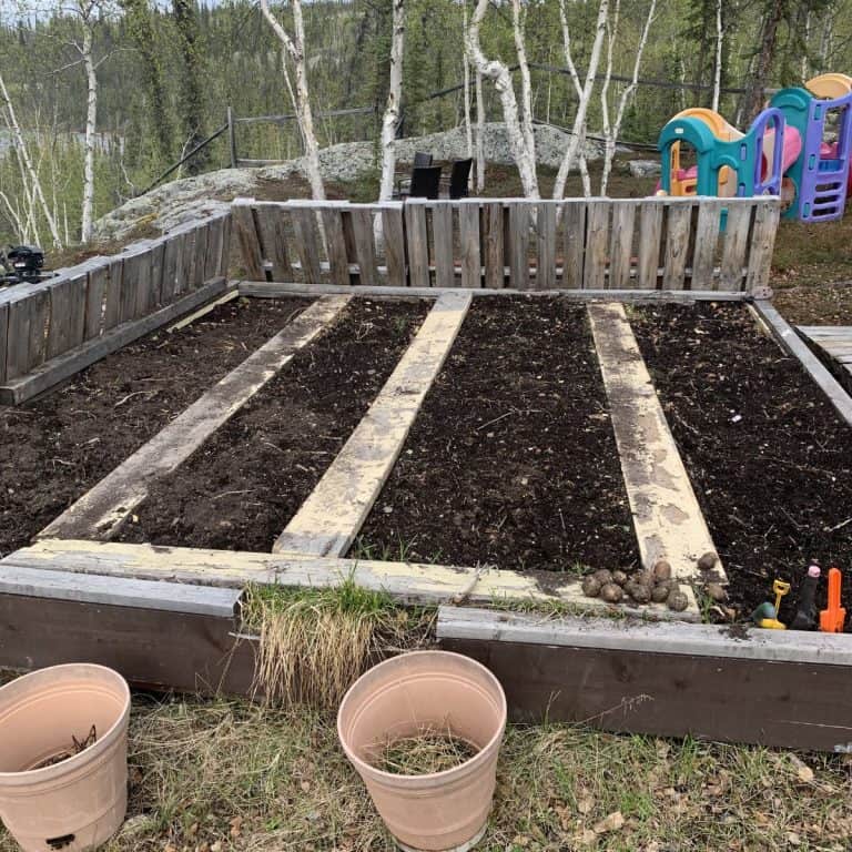 A raised garden bed with three soil plots separated by wooden planks, surrounded by a wooden fence; plastic play structures are in the background. Compacted garden soil after winter.