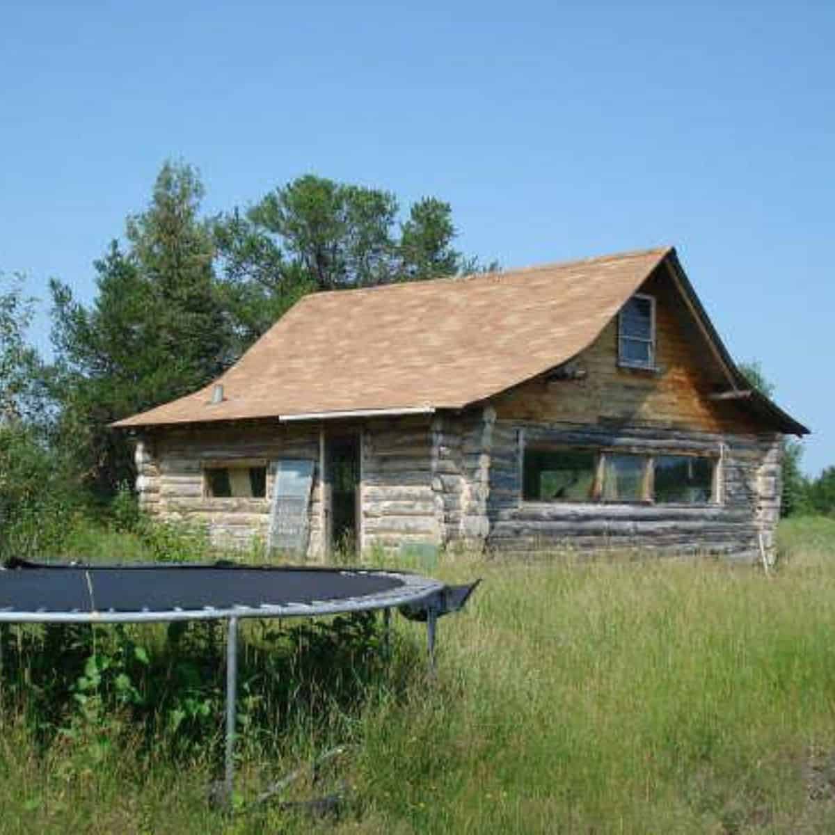 A weathered log cabin with a sloped roof sits in tall grass, surrounded by trees; a trampoline frame is visible in the foreground.
