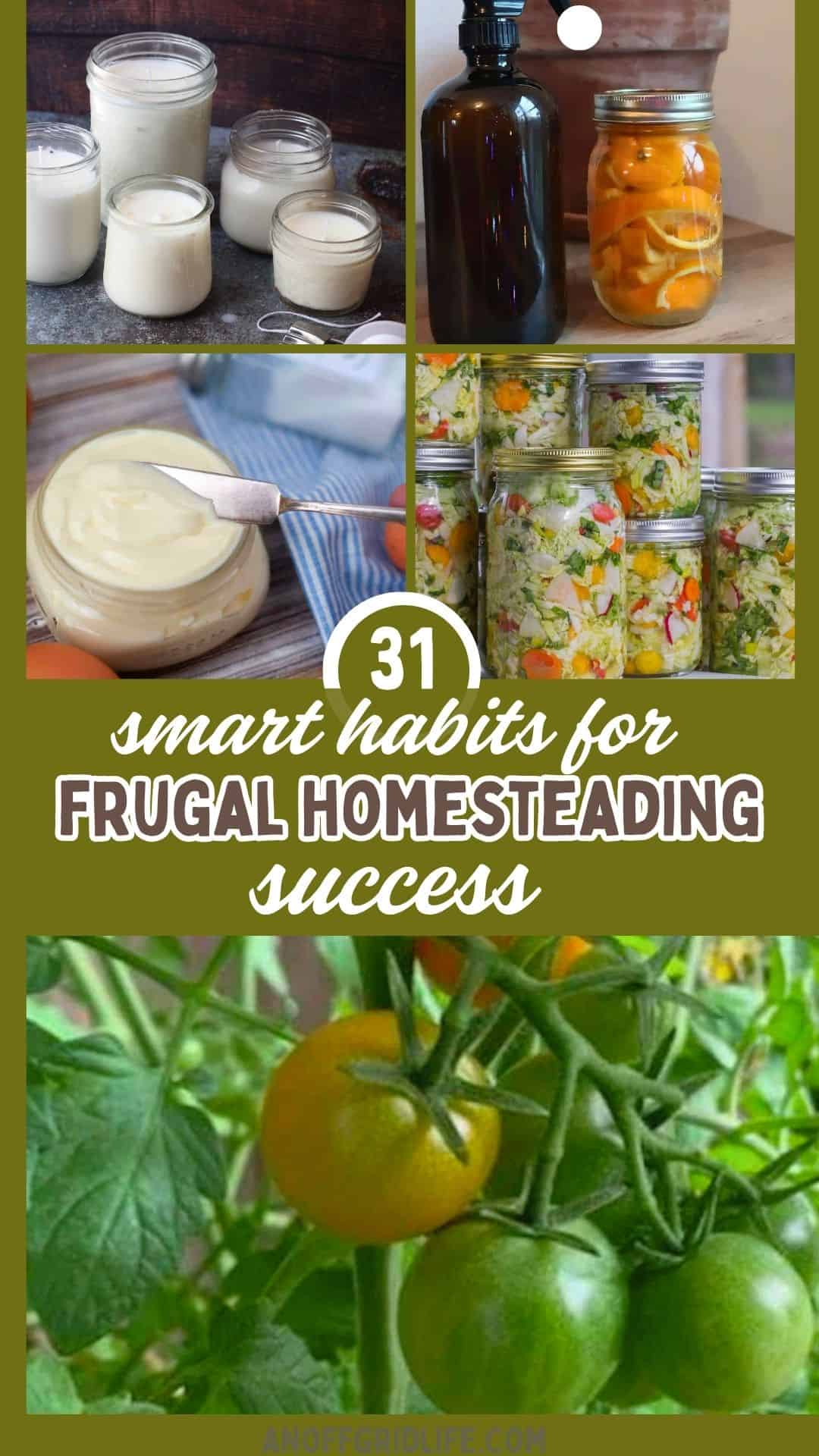 A collage of homemade yogurt, an amber bottle with orange peels, a jar of cream, jars of pickled vegetables, and green tomatoes on the vine, with text about frugal homesteading habits.