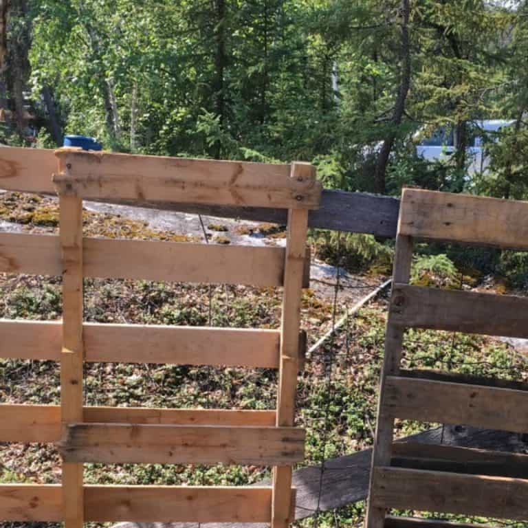 Two wooden pallets are leaning vertically against each other outdoors, with a background of trees and greenery in the sunlight.