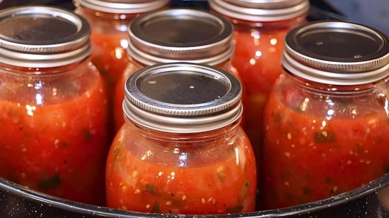 Several jars filled with red tomato sauce and sealed with metal lids are arranged closely together.