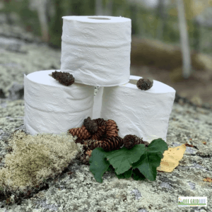 three rolls of toilet paper on a rock with pinecones, outdoors.