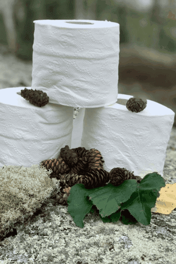 three rolls of toilet paper on a rock with pinecones, outdoors.