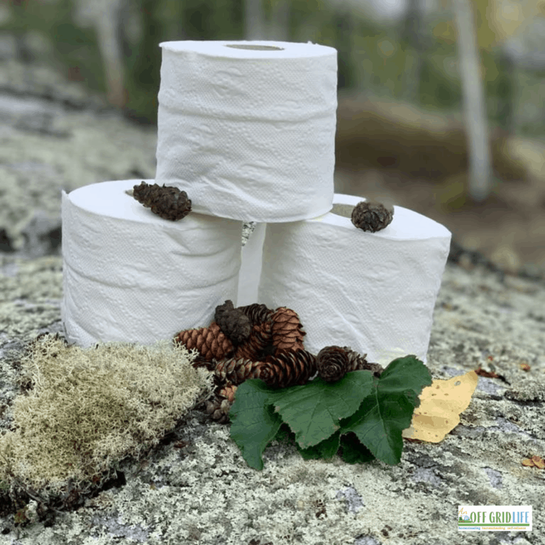 three rolls of toilet paper on a rock with pinecones, outdoors.