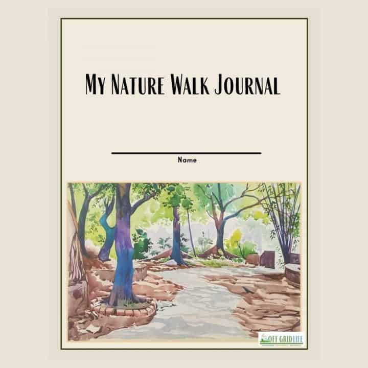 My Nature Walk Journal image of the front cover of this nature journal for kids