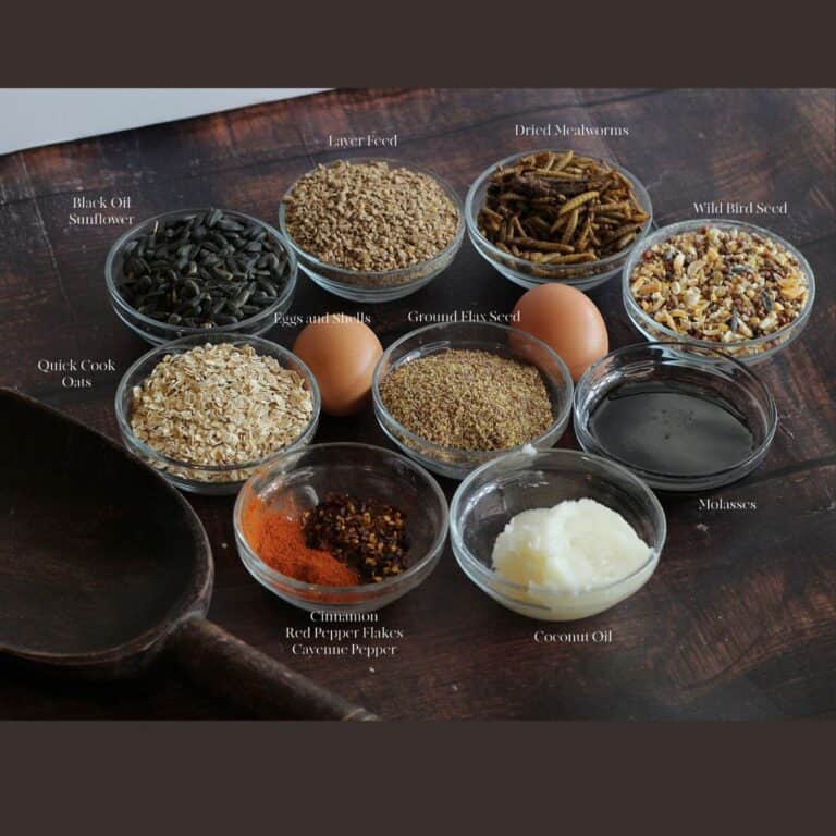 DIY Flock Block for Chickens An Off Grid Life