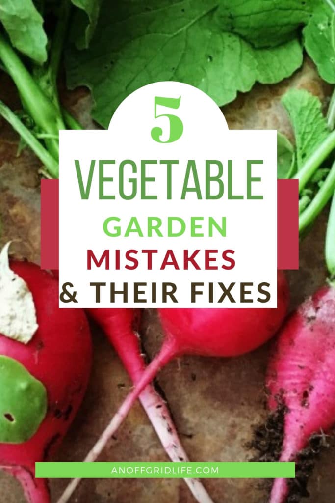 5 vegetable garden mistakes and their fixes text overlay on fresh radishes