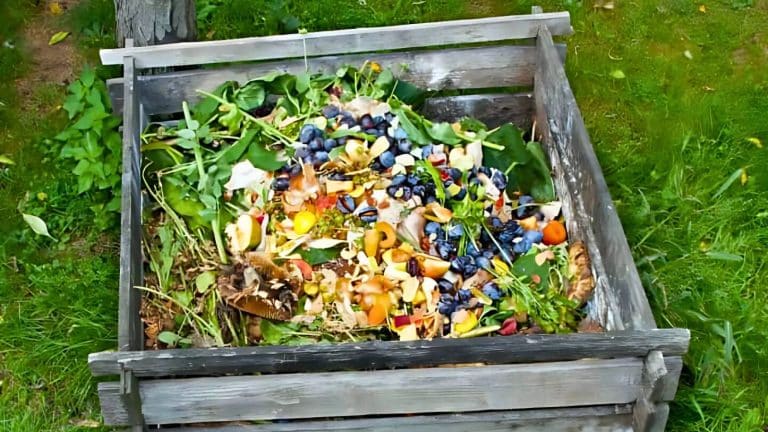 A wooden compost bin filled with various fruit and vegetable scraps, leaves, and garden waste.